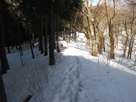 20180209hike (206)